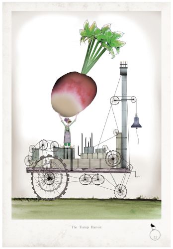 Turnip - Whimsical Kitchen Vegetable Print by Tony Fernandes